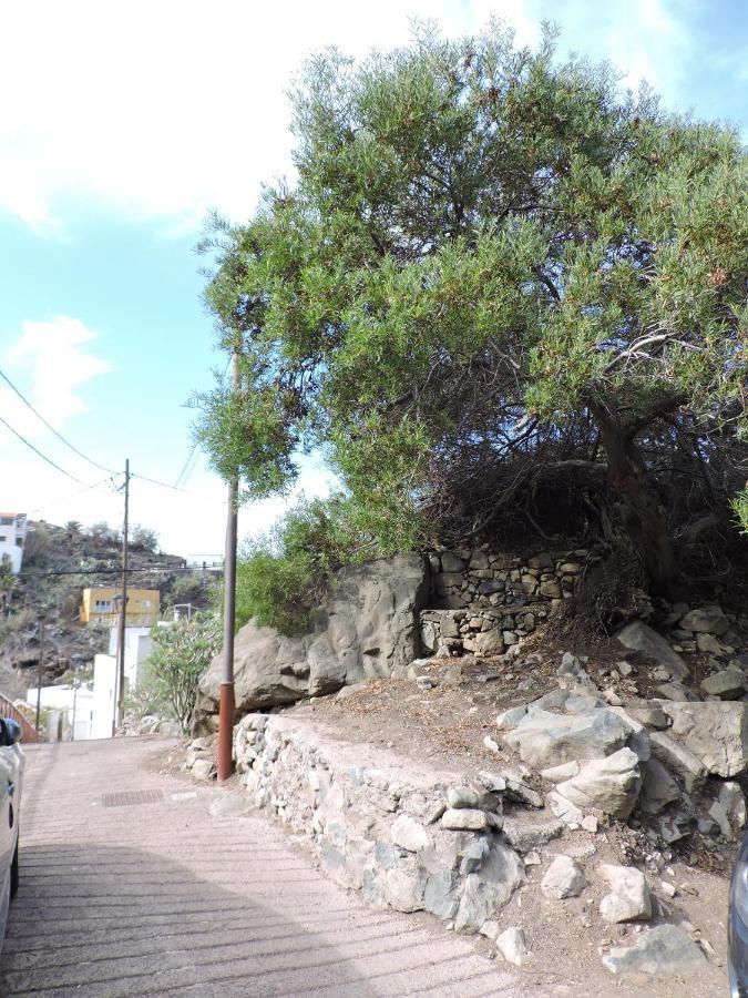 Casa Lilia, En Taganana Villa Santa Cruz de Tenerife Dış mekan fotoğraf